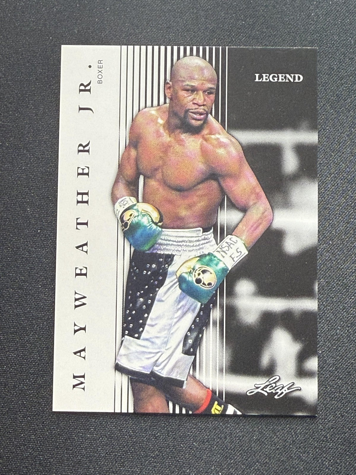 Floyd Mayweather Jr. 2024 Leaf Legends RC 10 count lot