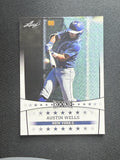 Austin Wells 2024 Leaf Rookie RC 10 count lot