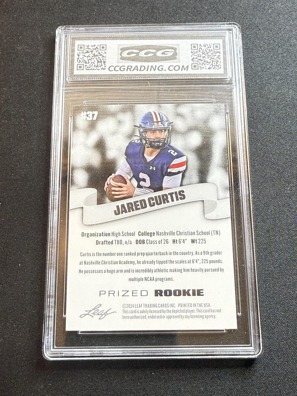 Jared Curtis 2024 Leaf Prized Rookie CCG 10 Rookie