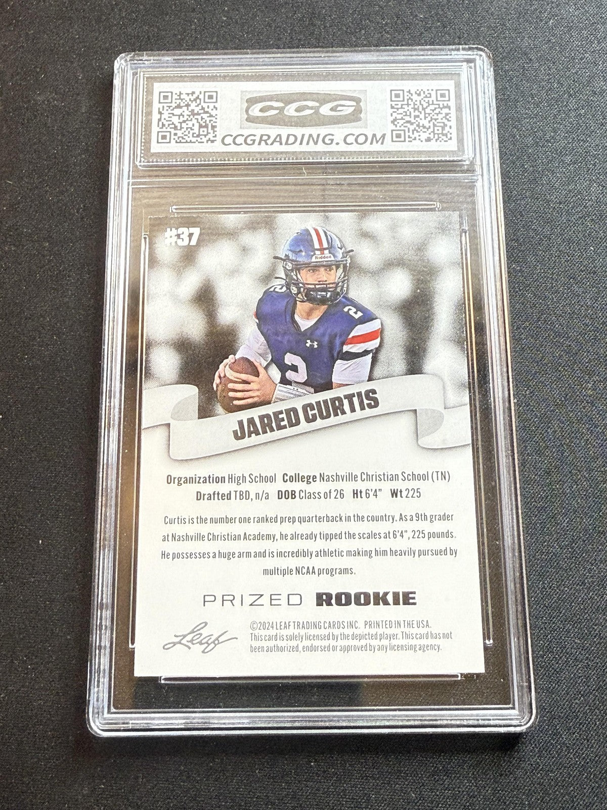 Jared Curtis 2024 Leaf Prized Rookie CCG 10 Rookie